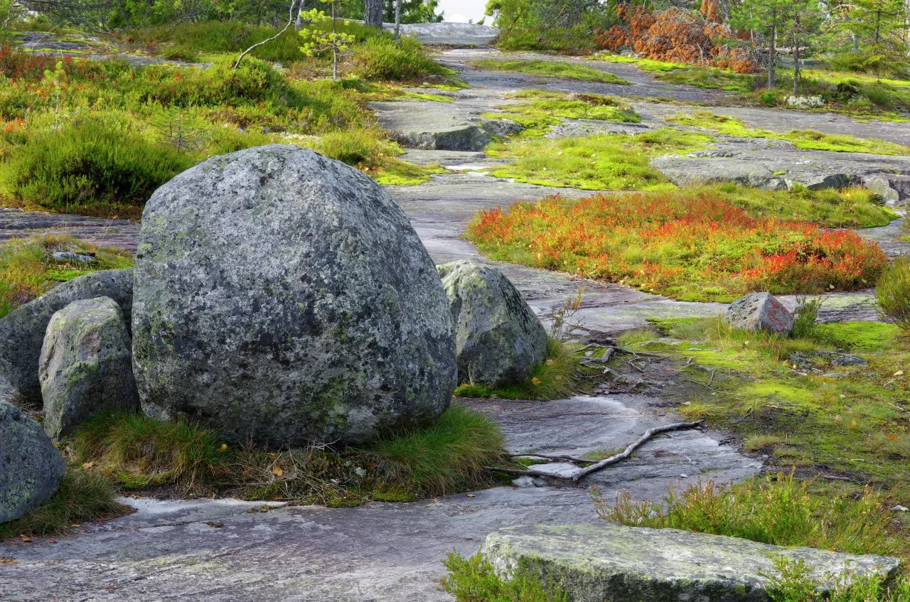Herbstfarben am Koli in Nordkarelien
