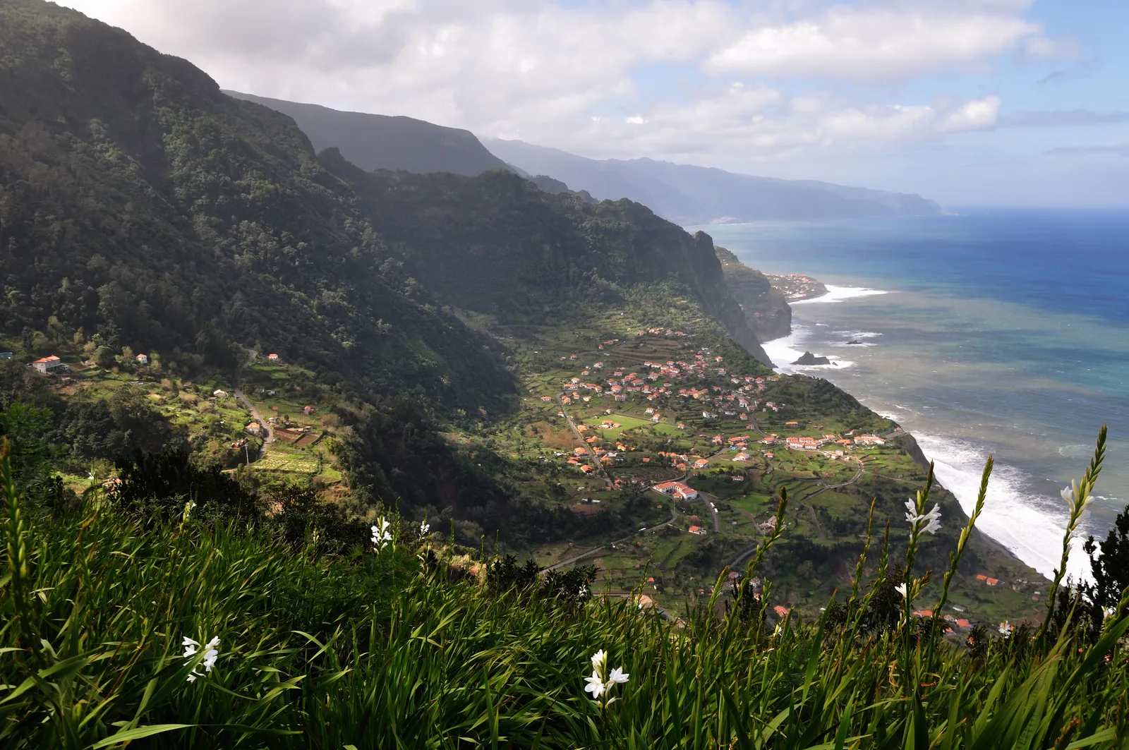 Grüne Landschaft auf Madeira im Winter